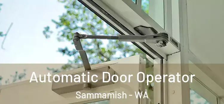 Automatic Door Operator Sammamish - WA