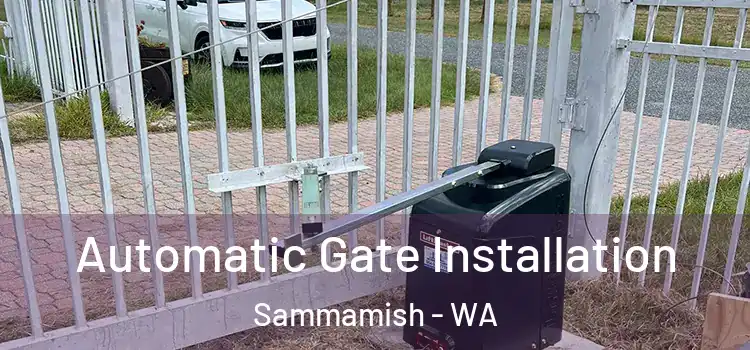 Automatic Gate Installation Sammamish - WA