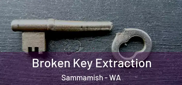 Broken Key Extraction Sammamish - WA