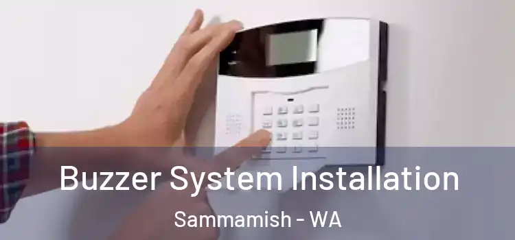 Buzzer System Installation Sammamish - WA