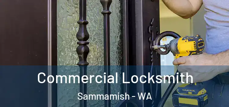 Commercial Locksmith Sammamish - WA