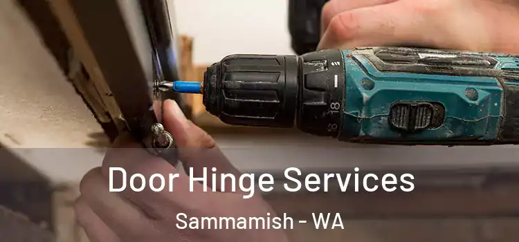 Door Hinge Services Sammamish - WA