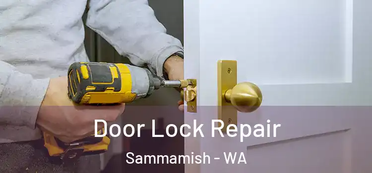 Door Lock Repair Sammamish - WA