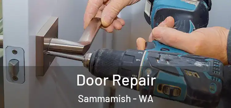 Door Repair Sammamish - WA