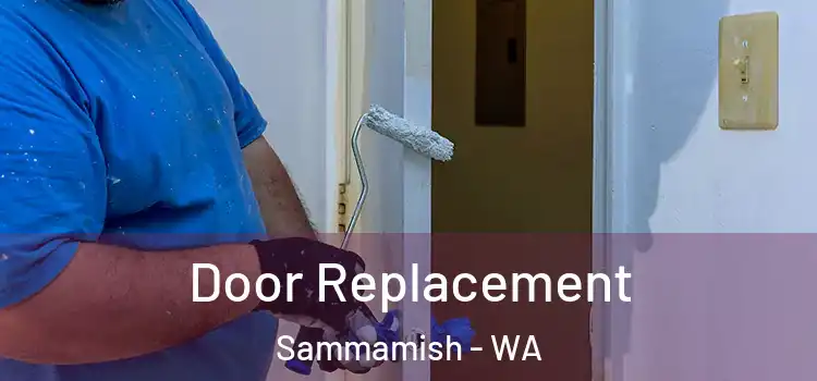 Door Replacement Sammamish - WA