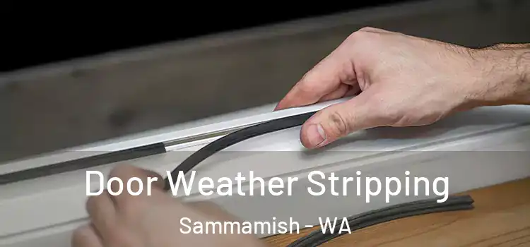 Door Weather Stripping Sammamish - WA
