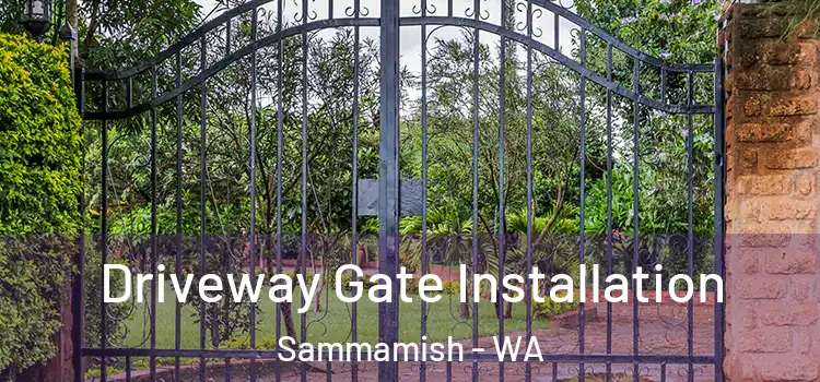  Driveway Gate Installation Sammamish - WA