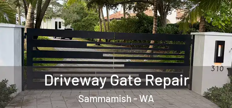 Driveway Gate Repair Sammamish - WA