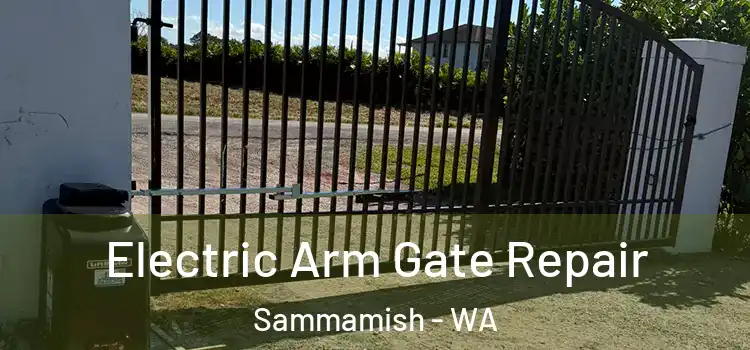 Electric Arm Gate Repair Sammamish - WA