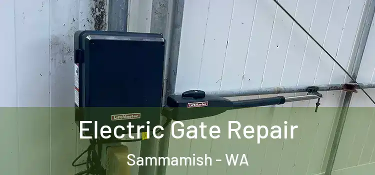 Electric Gate Repair Sammamish - WA