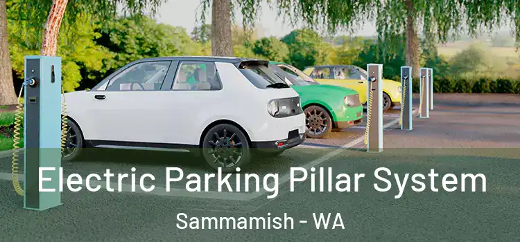Electric Parking Pillar System Sammamish - WA