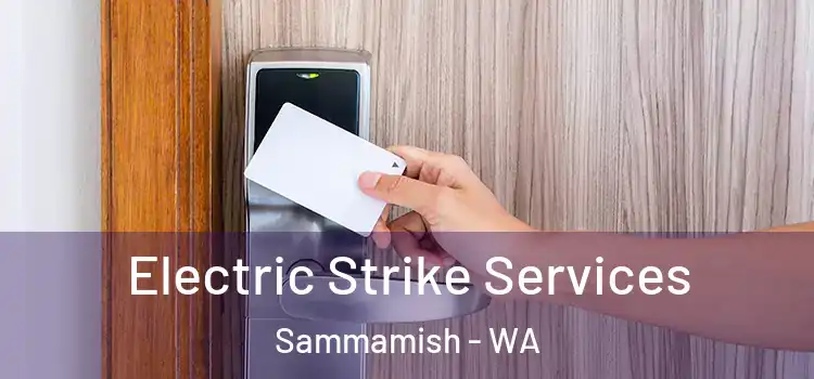  Electric Strike Services Sammamish - WA