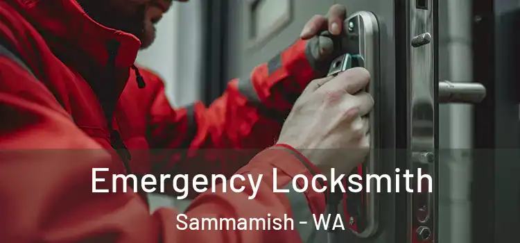 Emergency Locksmith Sammamish - WA