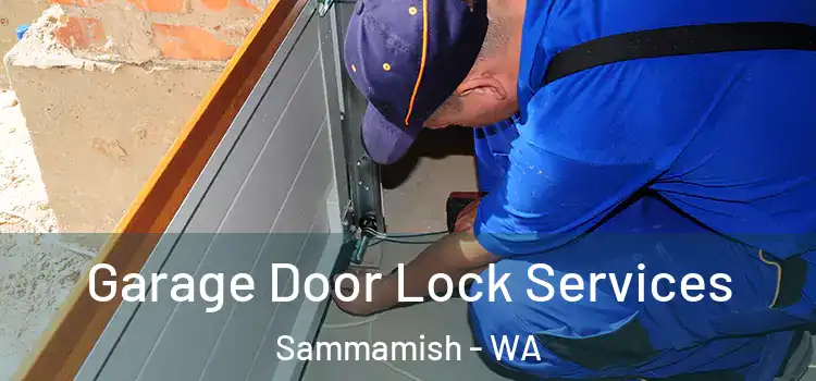 Garage Door Lock Services Sammamish - WA
