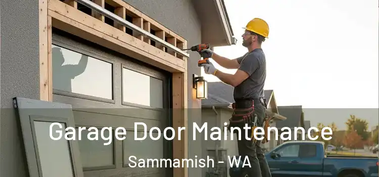 Garage Door Maintenance Sammamish - WA