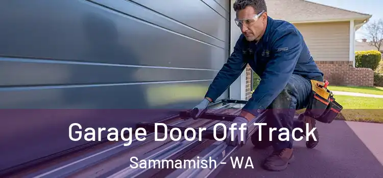  Garage Door Off Track Sammamish - WA