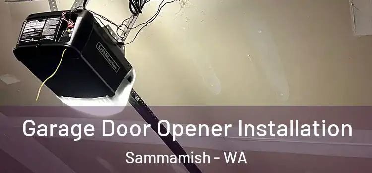  Garage Door Opener Installation Sammamish - WA