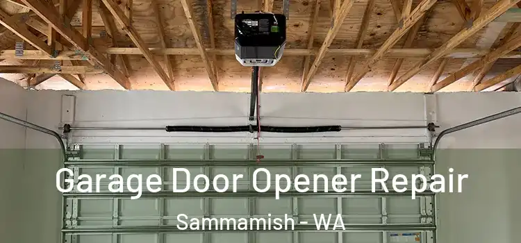  Garage Door Opener Repair Sammamish - WA