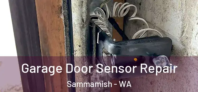 Garage Door Sensor Repair Sammamish - WA