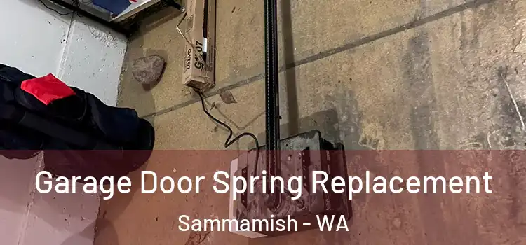  Garage Door Spring Replacement Sammamish - WA