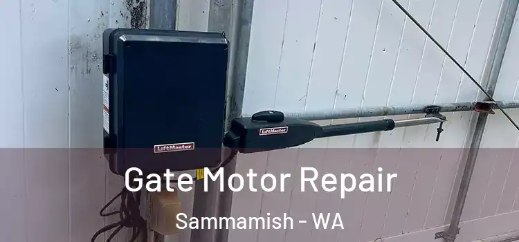 Gate Motor Repair Sammamish - WA