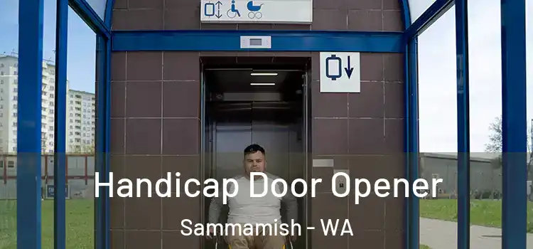 Handicap Door Opener Sammamish - WA