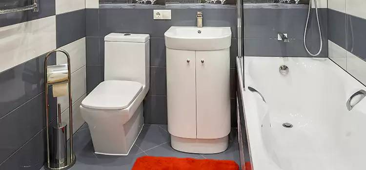 Hansgrohe Shaving Mirror Sammamish