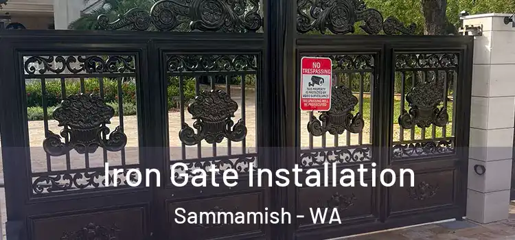  Iron Gate Installation Sammamish - WA