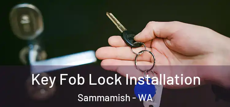 Key Fob Lock Installation Sammamish - WA