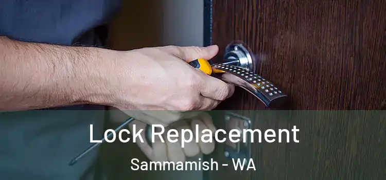Lock Replacement Sammamish - WA