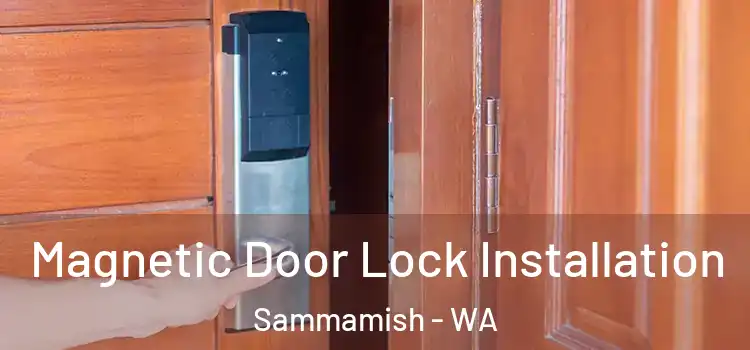  Magnetic Door Lock Installation Sammamish - WA