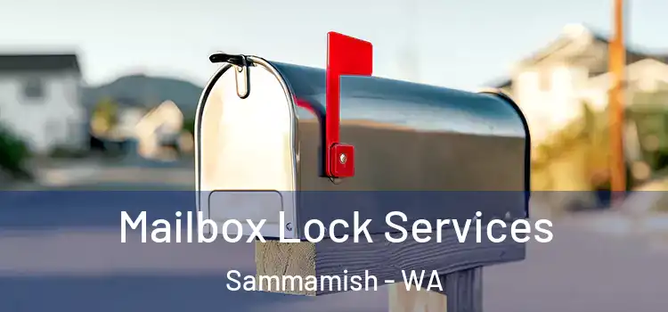 Mailbox Lock Services Sammamish - WA