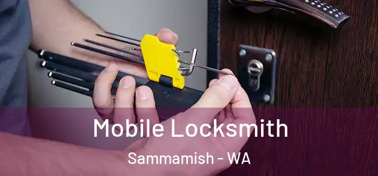 Mobile Locksmith Sammamish - WA