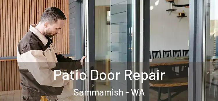 Patio Door Repair Sammamish - WA