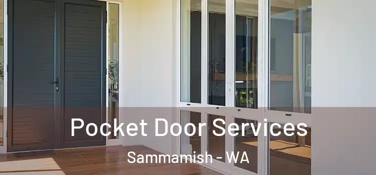Pocket Door Services Sammamish - WA