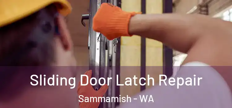 Sliding Door Latch Repair Sammamish - WA
