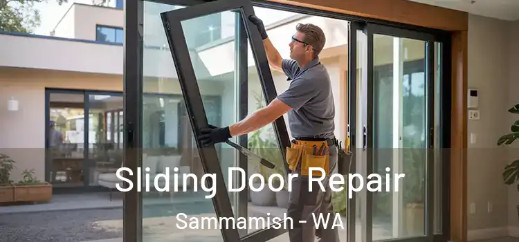 Sliding Door Repair Sammamish - WA