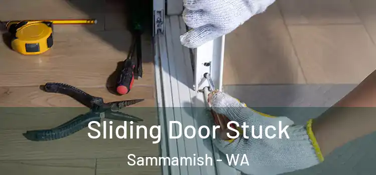 Sliding Door Stuck Sammamish - WA