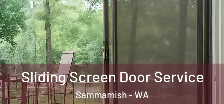 Sliding Screen Door Service Sammamish - WA
