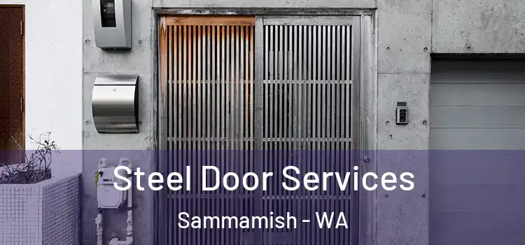 Steel Door Services Sammamish - WA