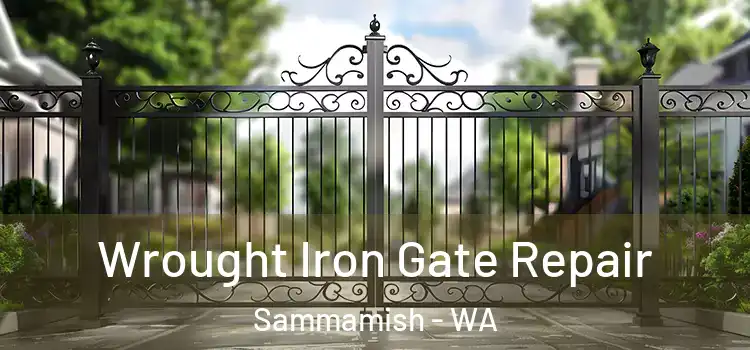 Wrought Iron Gate Repair Sammamish - WA